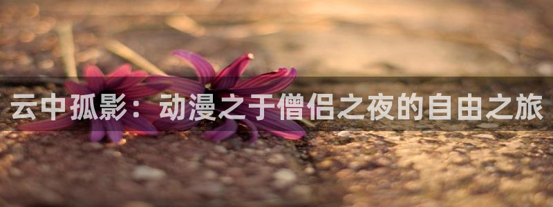 羞羞漫画登陆网址：云中孤影：动漫之于僧侣之夜的自由之旅