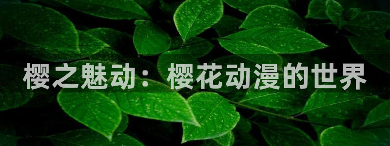 羞羞漫画无翼鸟在线观看：樱之魅动：樱花动漫的世界