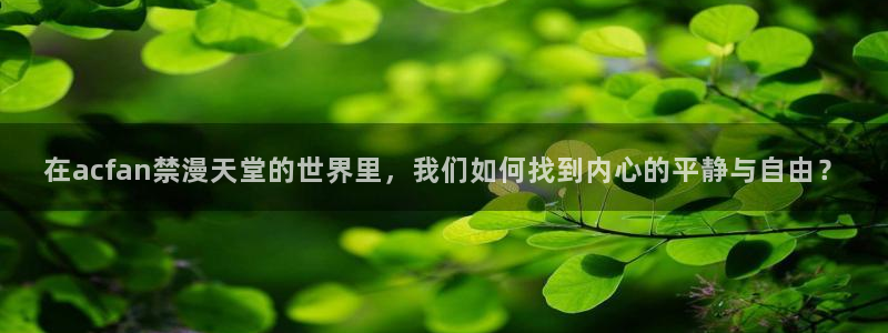 羞羞漫画无弹窗：在acfan禁漫天堂的世界里，我们如何找到内心的平静与自由？