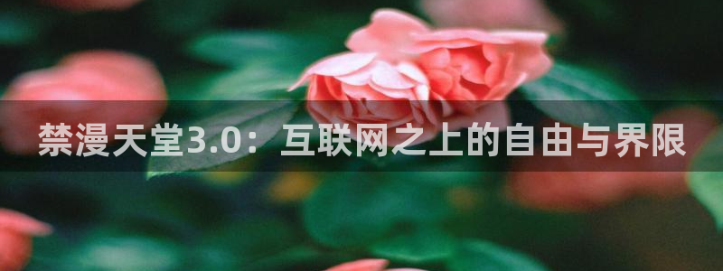 羞羞漫画最新漫画：禁漫天堂3.0：互联网之上的自由与界限