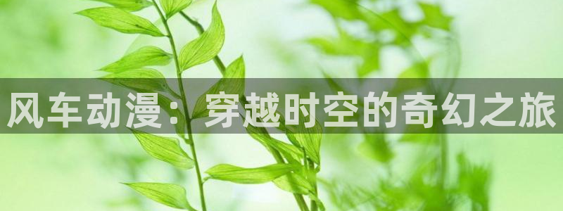 羞羞漫画com,：风车动漫：穿越时空的奇幻之旅