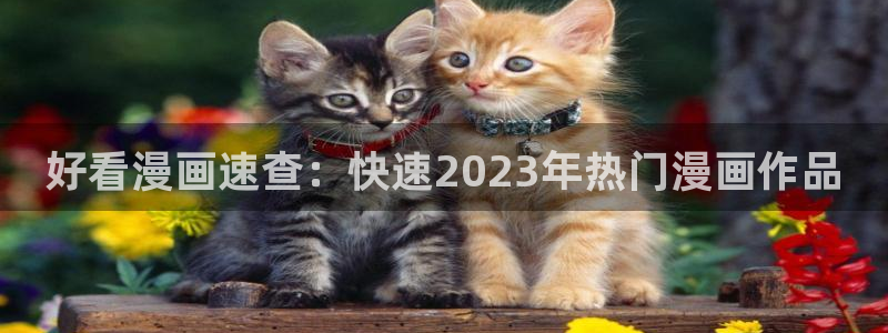 二次元羞羞漫画网站：好看漫画速查：快速2023年热门漫画作品