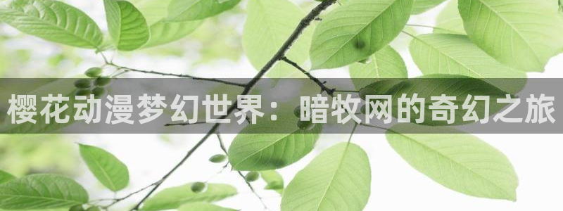 羞羞漫画3：樱花动漫梦幻世界：暗牧网的奇幻之旅