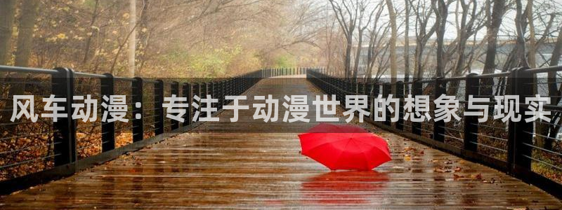 羞羞漫画免费在线入口：风车动漫：专注于动漫世界的想象与现实