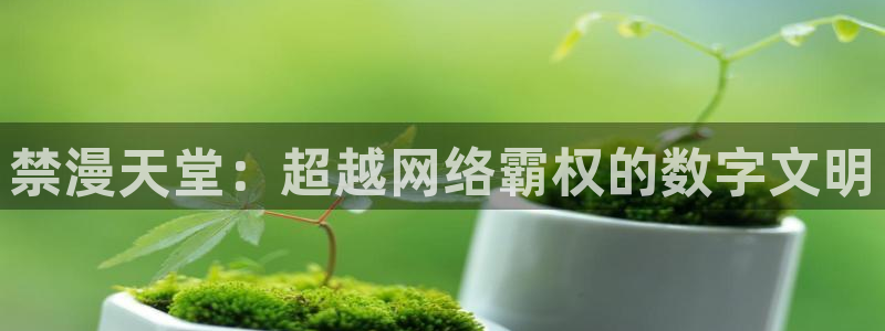 羞羞漫画入口看：禁漫天堂：超越网络霸权的数字文明