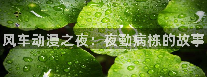 在线观看羞羞漫画：风车动漫之夜：夜勤病栋的故事