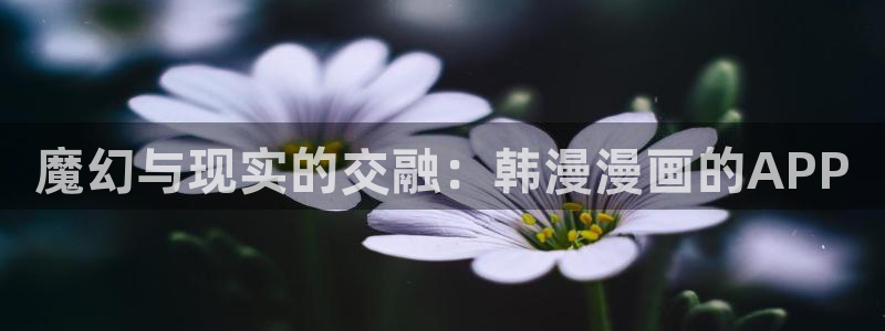 韩漫网站羞羞漫画：魔幻与现实的交融：韩漫漫画的APP