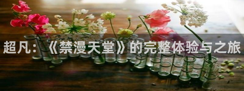 羞羞漫画打开：超凡：《禁漫天堂》的完整体验与之旅