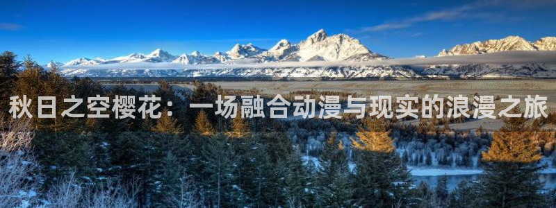 龙珠羞羞漫画：秋日之空樱花：一场融合动漫与现实的浪漫之旅