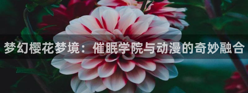 漫画羞羞漫画：梦幻樱花梦境：催眠学院与动漫的奇妙融合